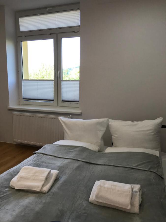 Cristal Apartament Krynica - Zdroj Extérieur photo
